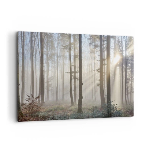 Schilderen op canvas - De mist werd ook wakker - 100x70 cm