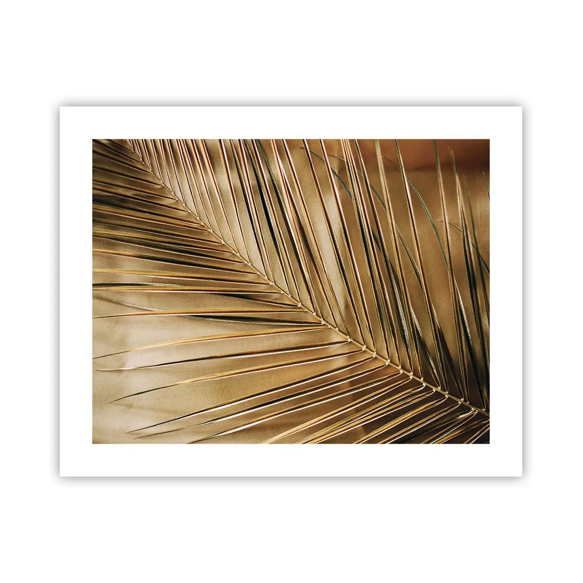 Poster - Natuurlijke zuilengalerij - 50x40 cm