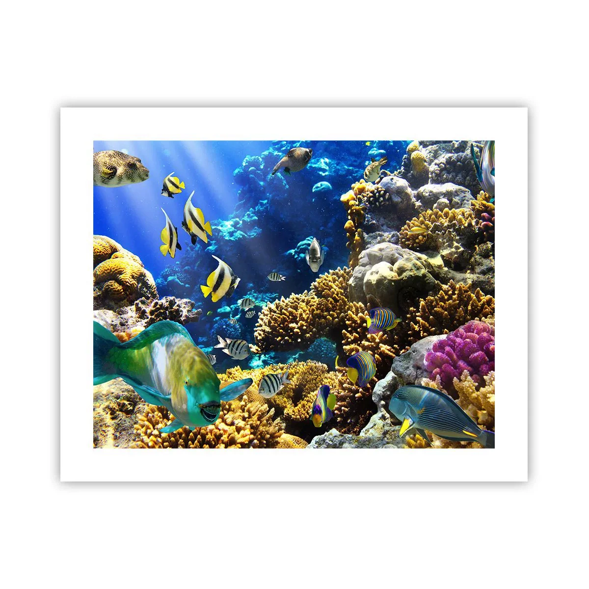 Poster - Veel verkeer op de vakantieroute - 50x40 cm