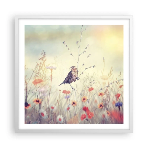 Poster in een witte lijst - Vogelportret met een weiland op de achtergrond - 60x60 cm