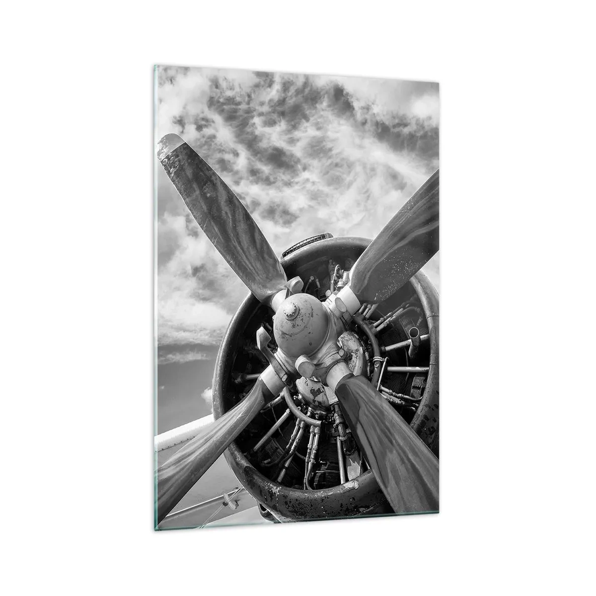 Schilderen op glas - Veroveraar van de lucht - 70x100 cm