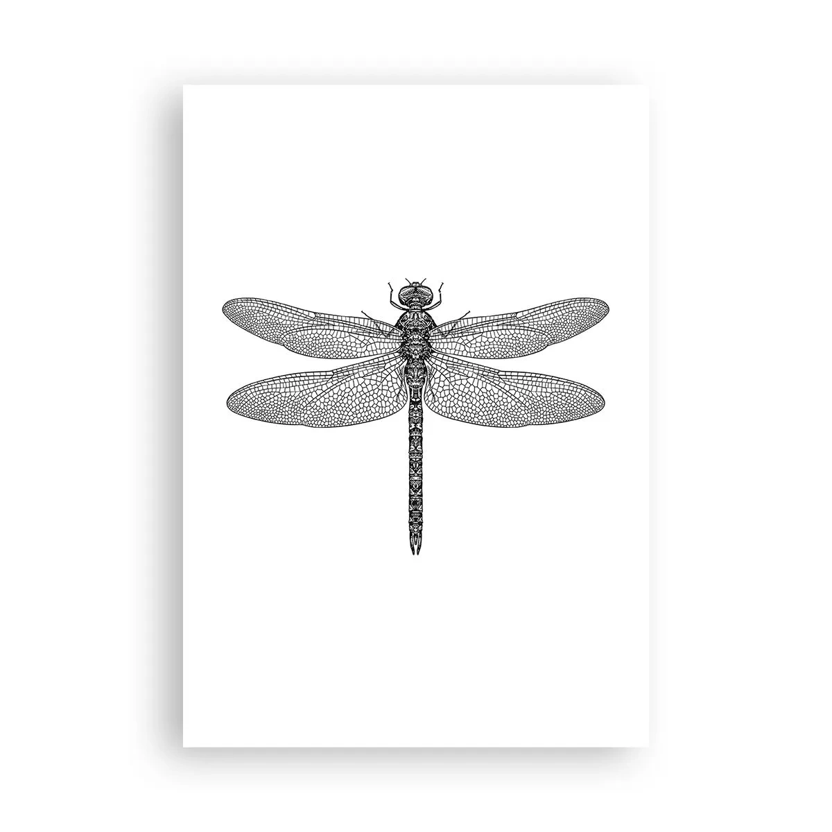 Poster - Precisie van de natuur - 70x100 cm