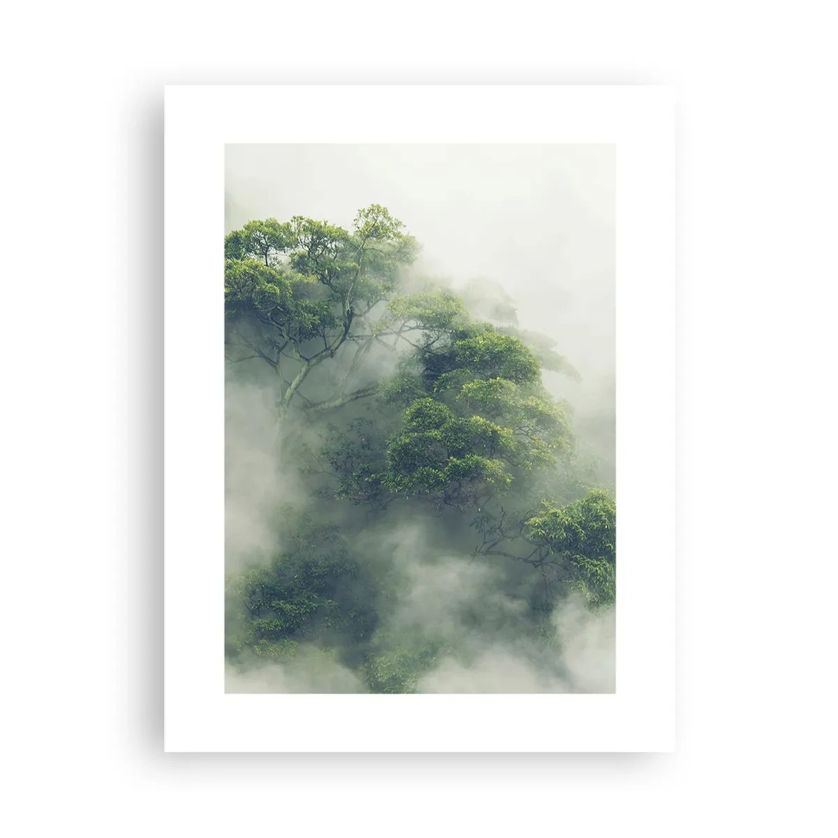 Poster - In mist gehuld - 30x40 cm