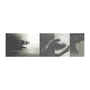 Fotobehang Monster Premium Canvas - Niet te stopen - Sport, Rennen, Duisternis - 100x30 cm