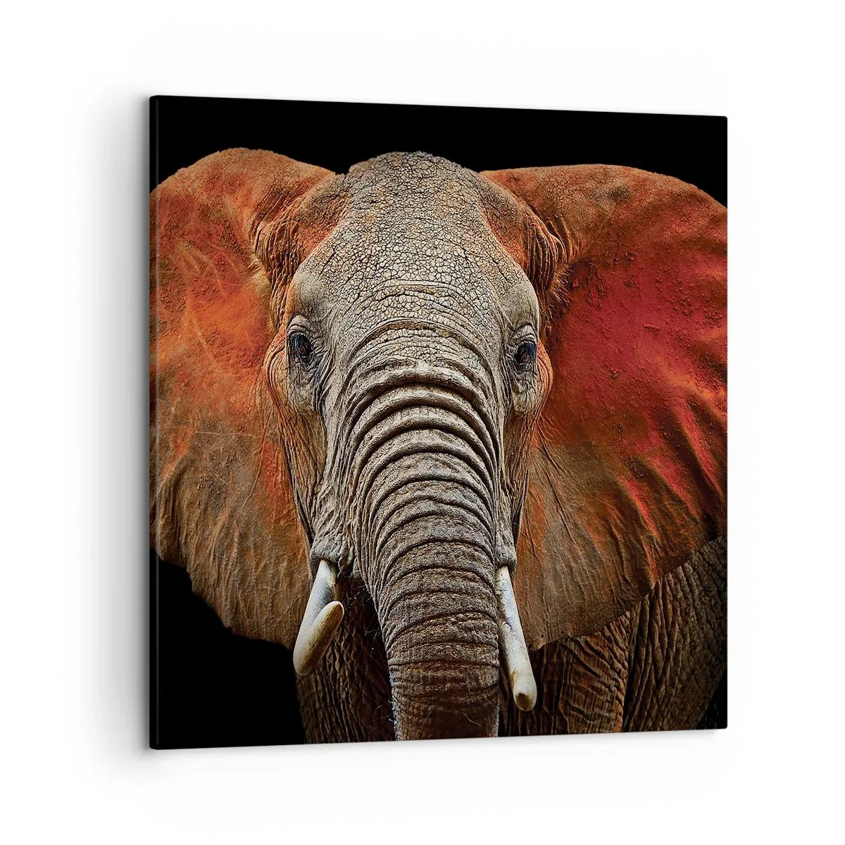 Schilderen op canvas - Ik ben wild, en jij? - 50x50 cm