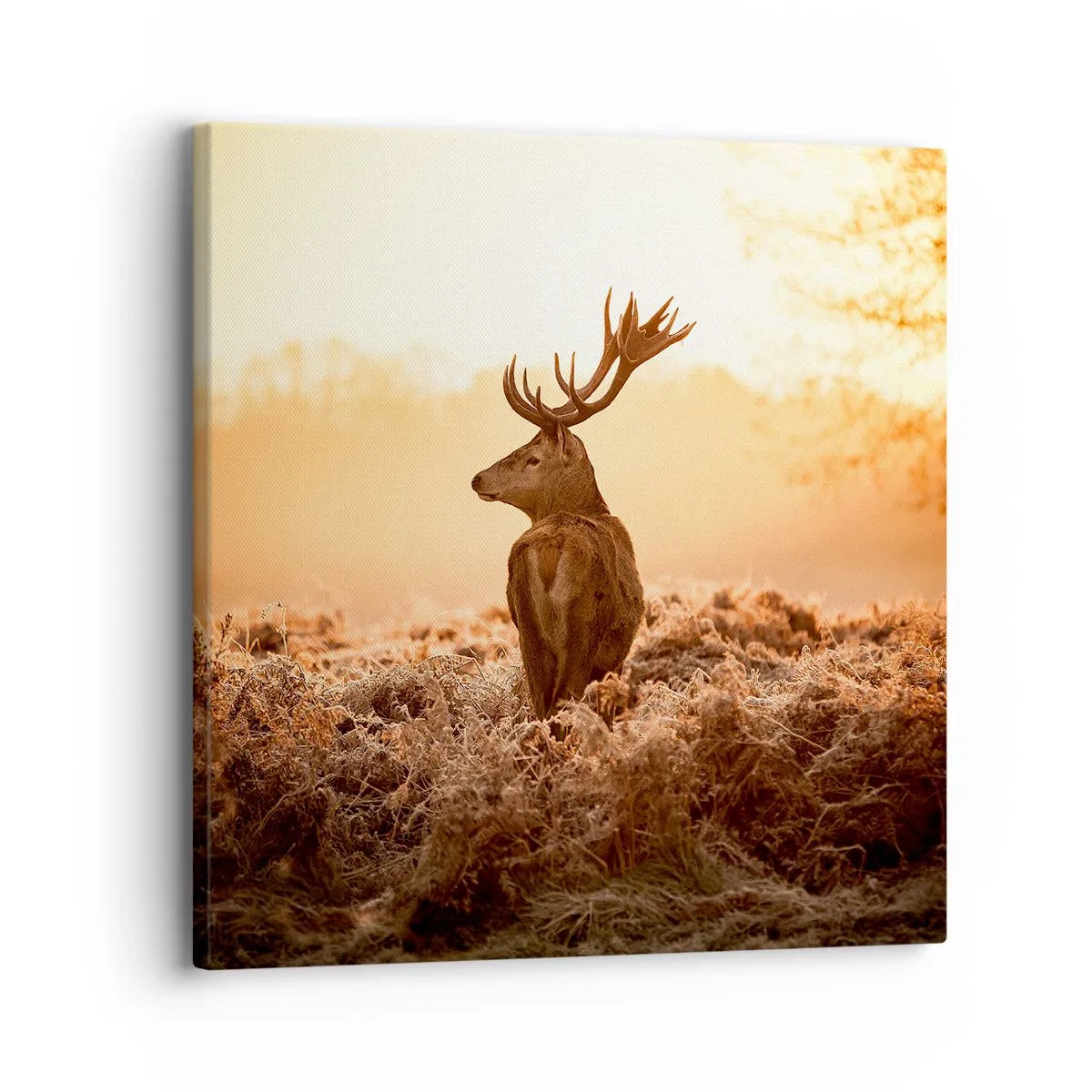 Schilderen op canvas - Heer van het landgoed - 30x30 cm