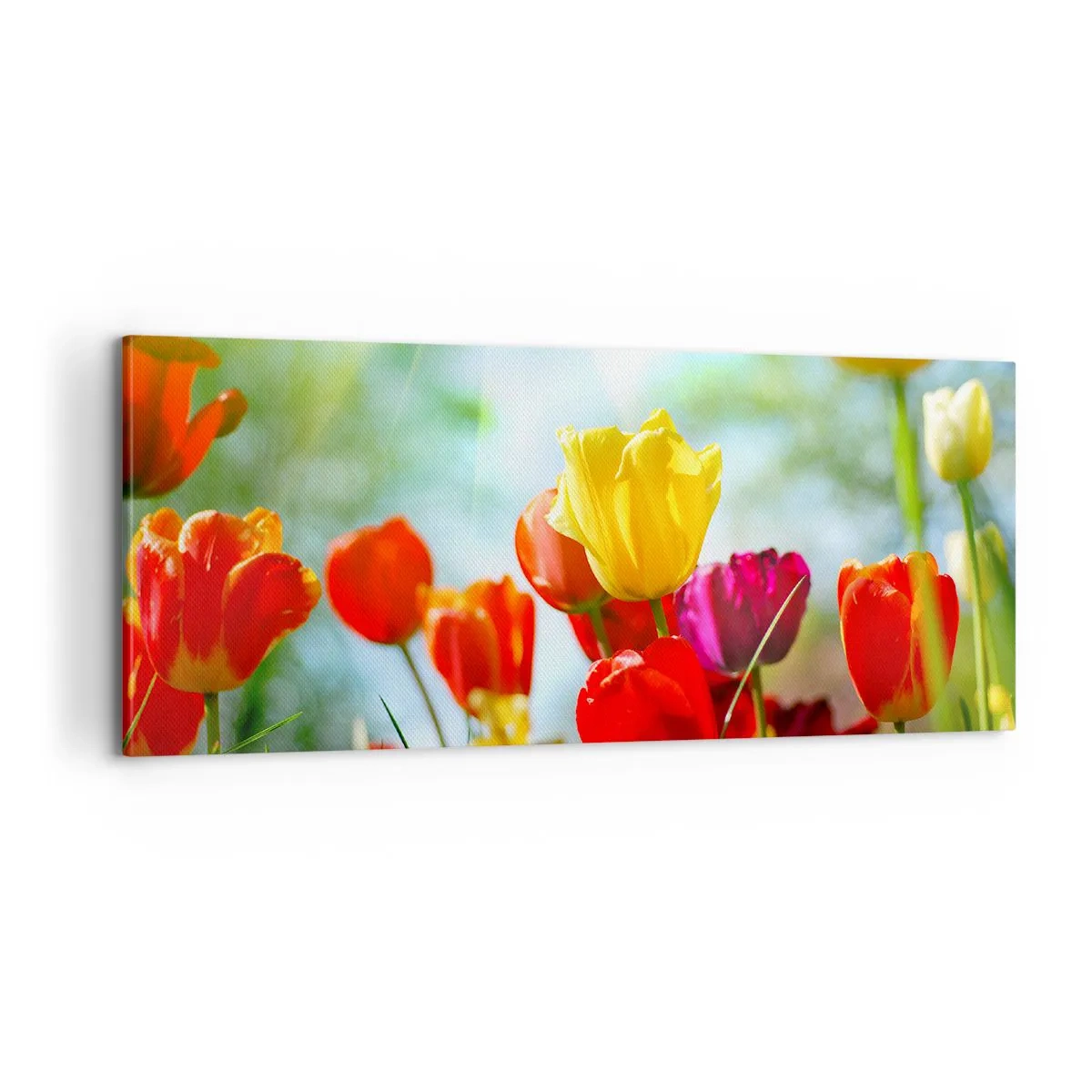 Schilderen op canvas - Alle kleuren van de zon - 100x40 cm