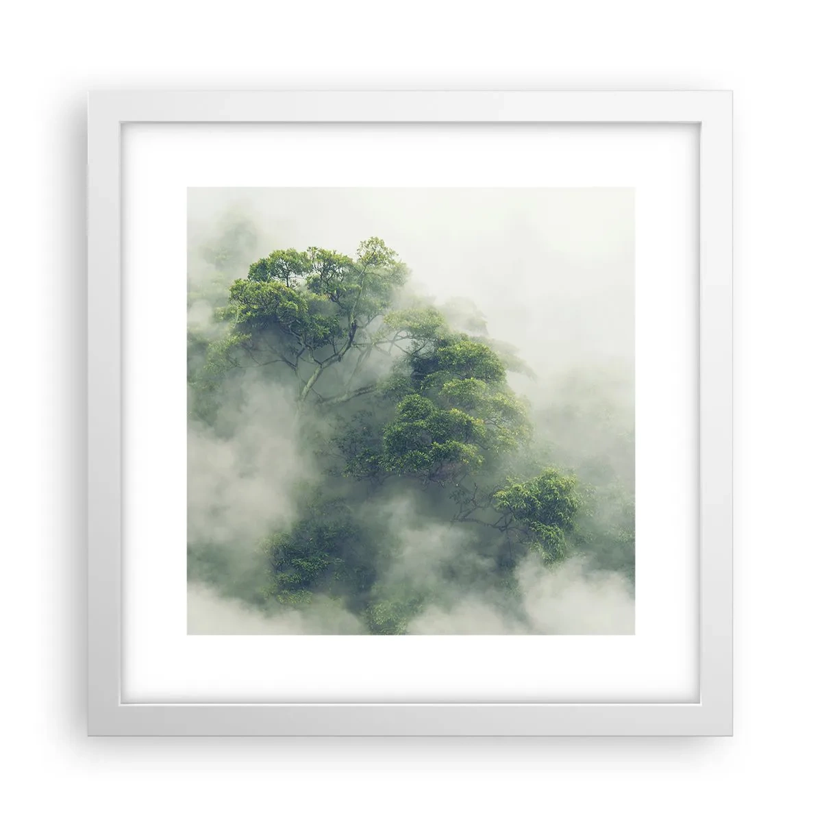 Poster in een witte lijst - In mist gehuld - 30x30 cm