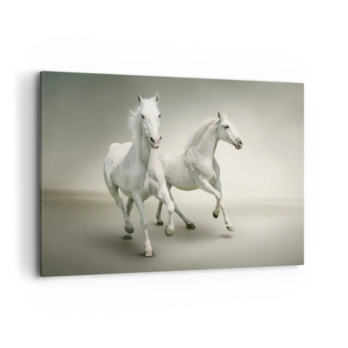 Schilderen op canvas - White power! - 120x80 cm