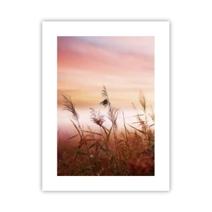 Poster - Vliegers, paardebloemen, wind - 30x40 cm