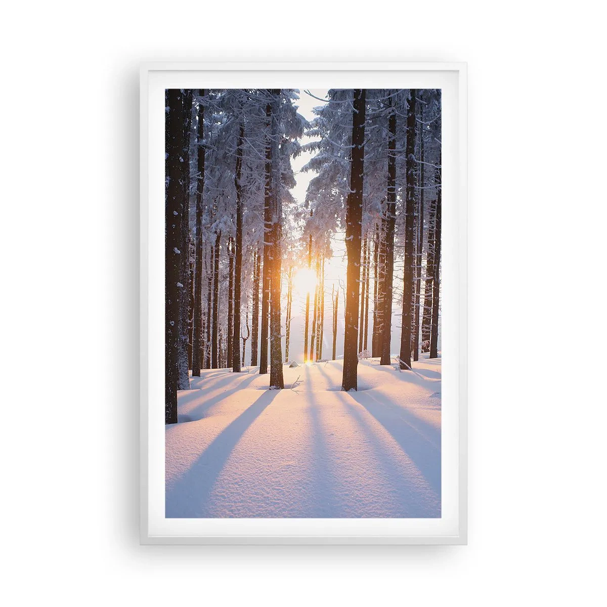 Poster in een witte lijst - Duidelijk in zwart-wit - 61x91 cm