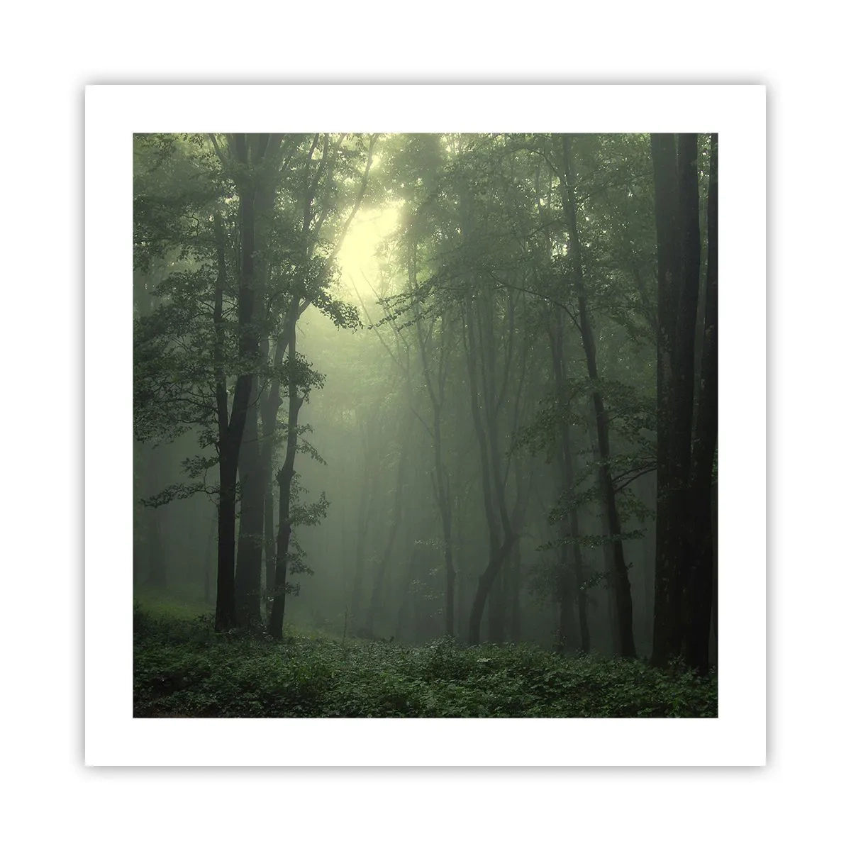 Poster - Voordat hij wakker wordt - 50x50 cm