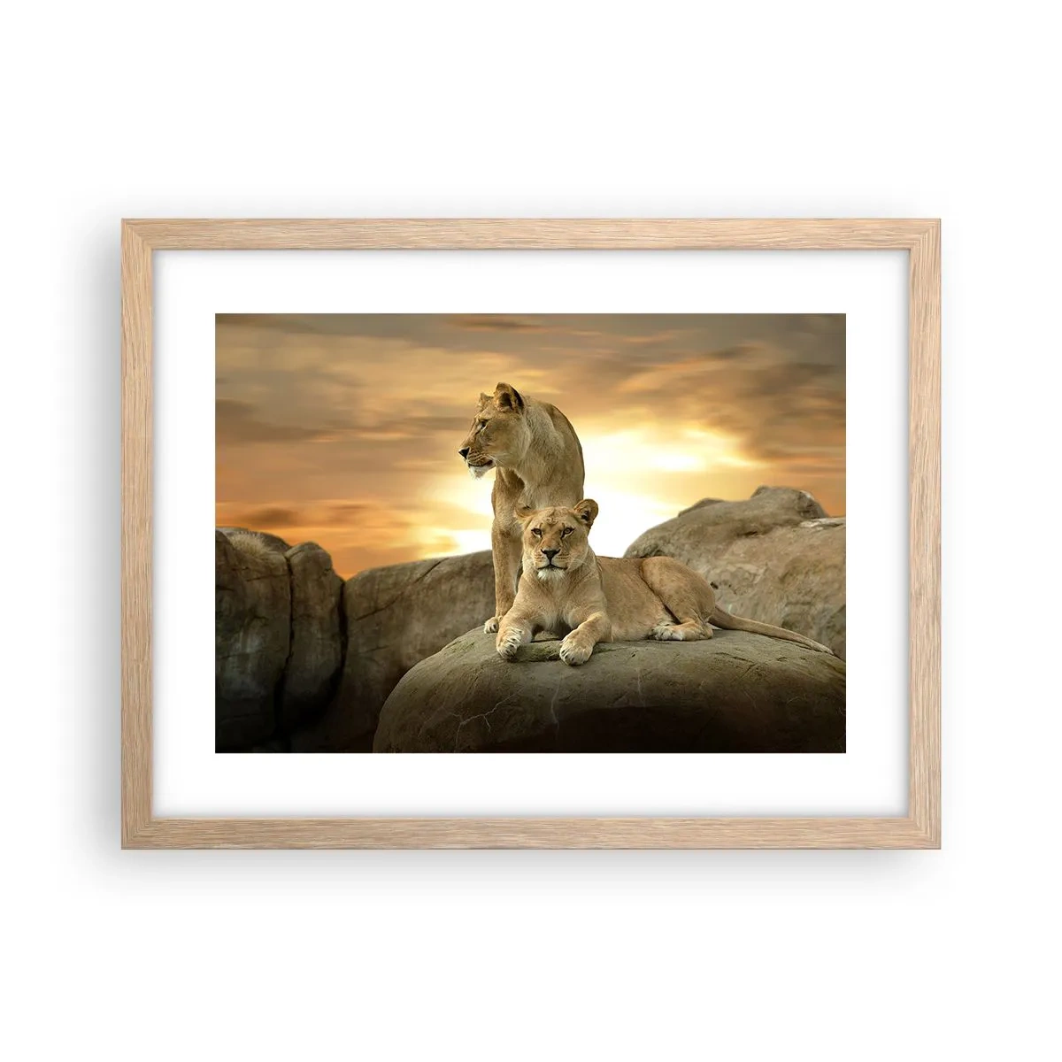 Een poster in een licht eiken lijst - Koninklijke majesteit - 40x30 cm
