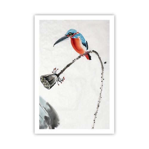 Poster - Het leven van de weide - 61x91 cm