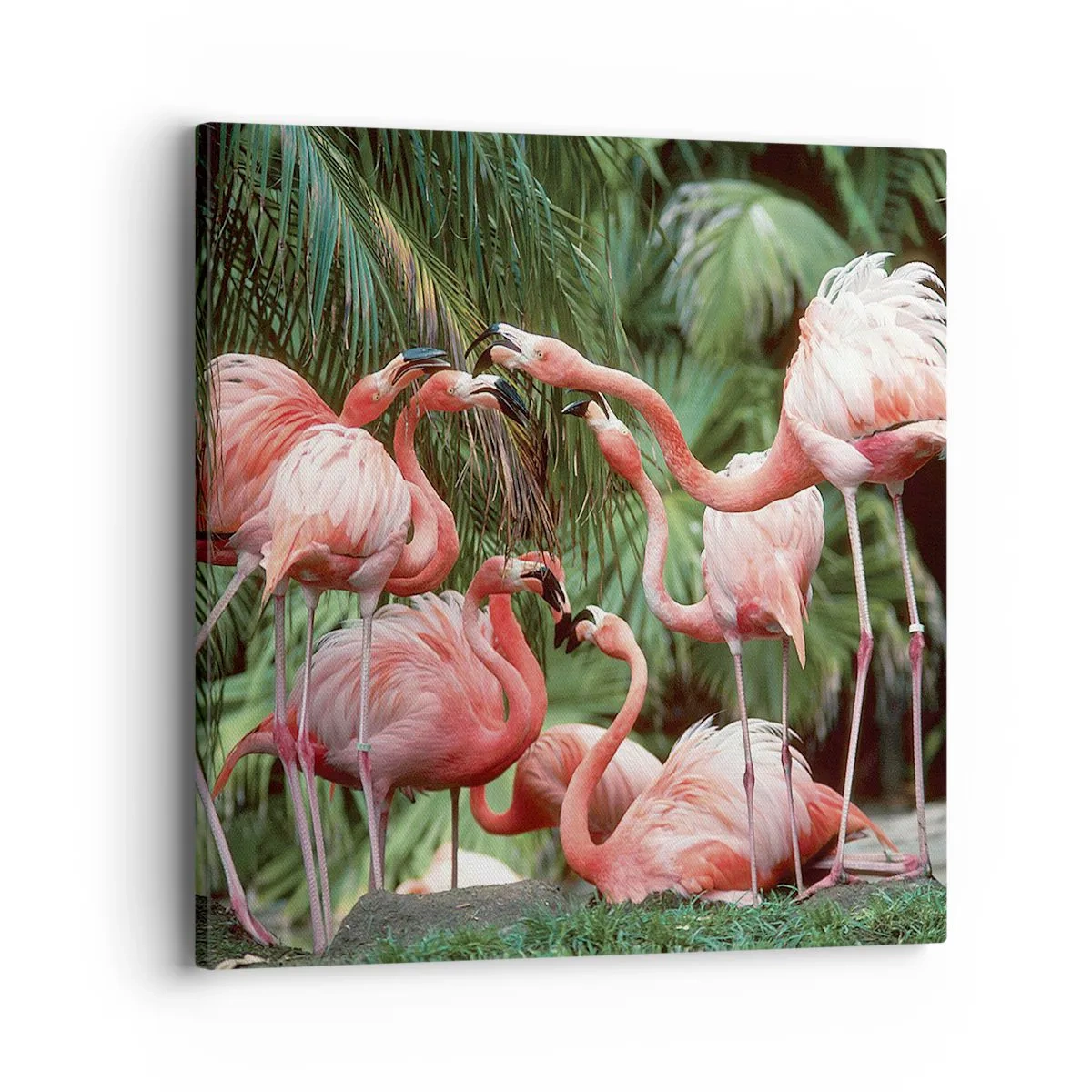 Schilderen op canvas - Middag roddels - 40x40 cm