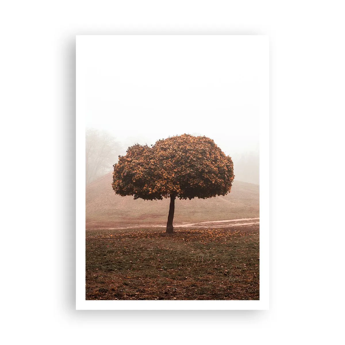 Poster - Na een drukke zomer - 70x100 cm