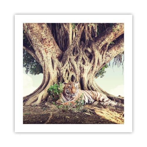 Poster - Uitzicht vanuit het boek Genesis - 50x50 cm