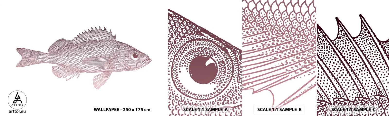 Fotobehang Monster Zelfklevend Deluxe Sticker - Grote ogen vis - Vis, Onderwater, Minimalistisch - 100x30 cm