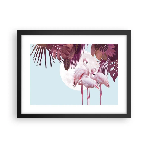 Poster in een zwarte lijst - Drie vogel genaden - 40x30 cm