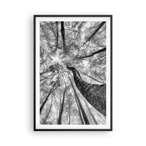 Poster in een zwarte lijst - Race naar het licht - 61x91 cm