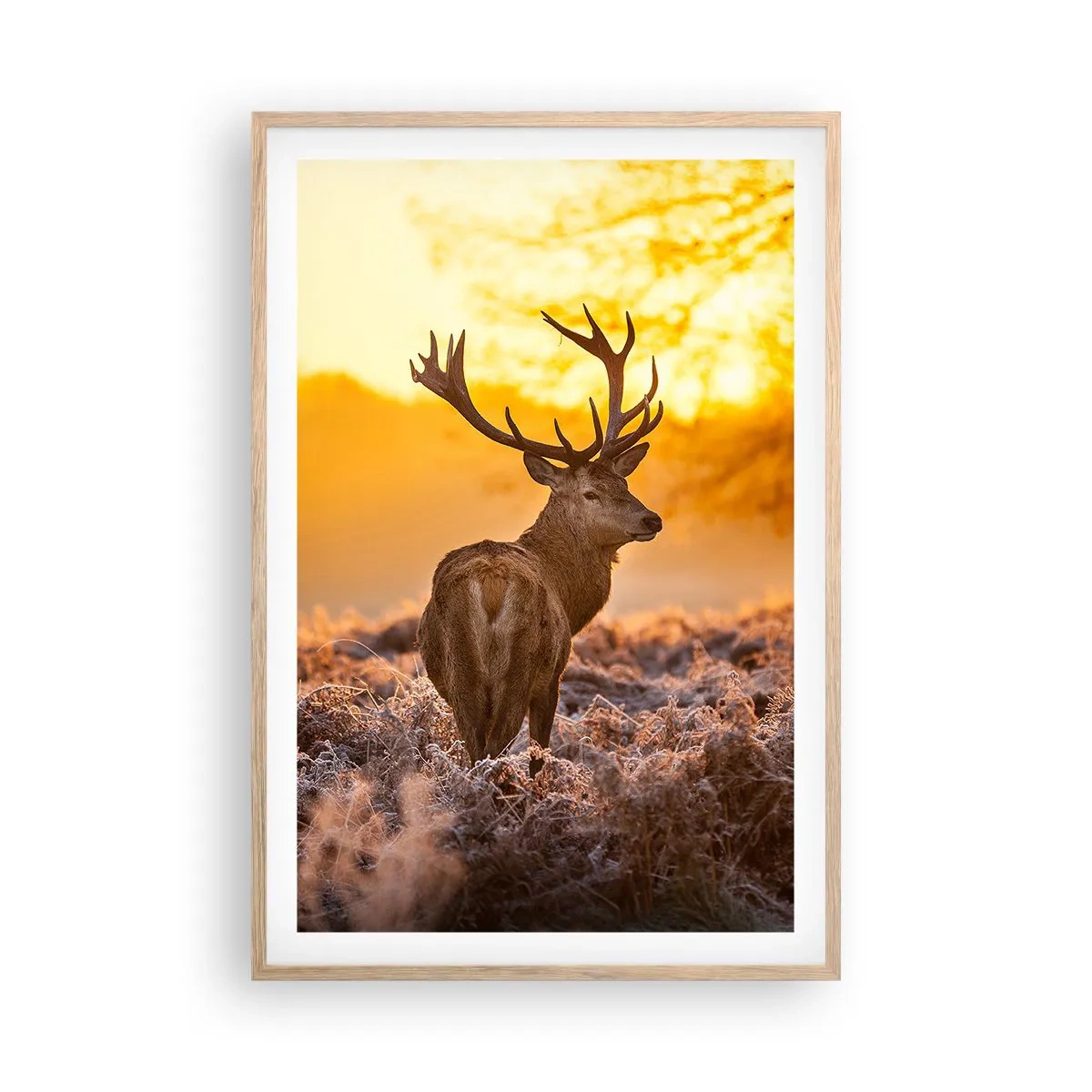 Een poster in een licht eiken lijst - Koning van het herfstbos - 61x91 cm