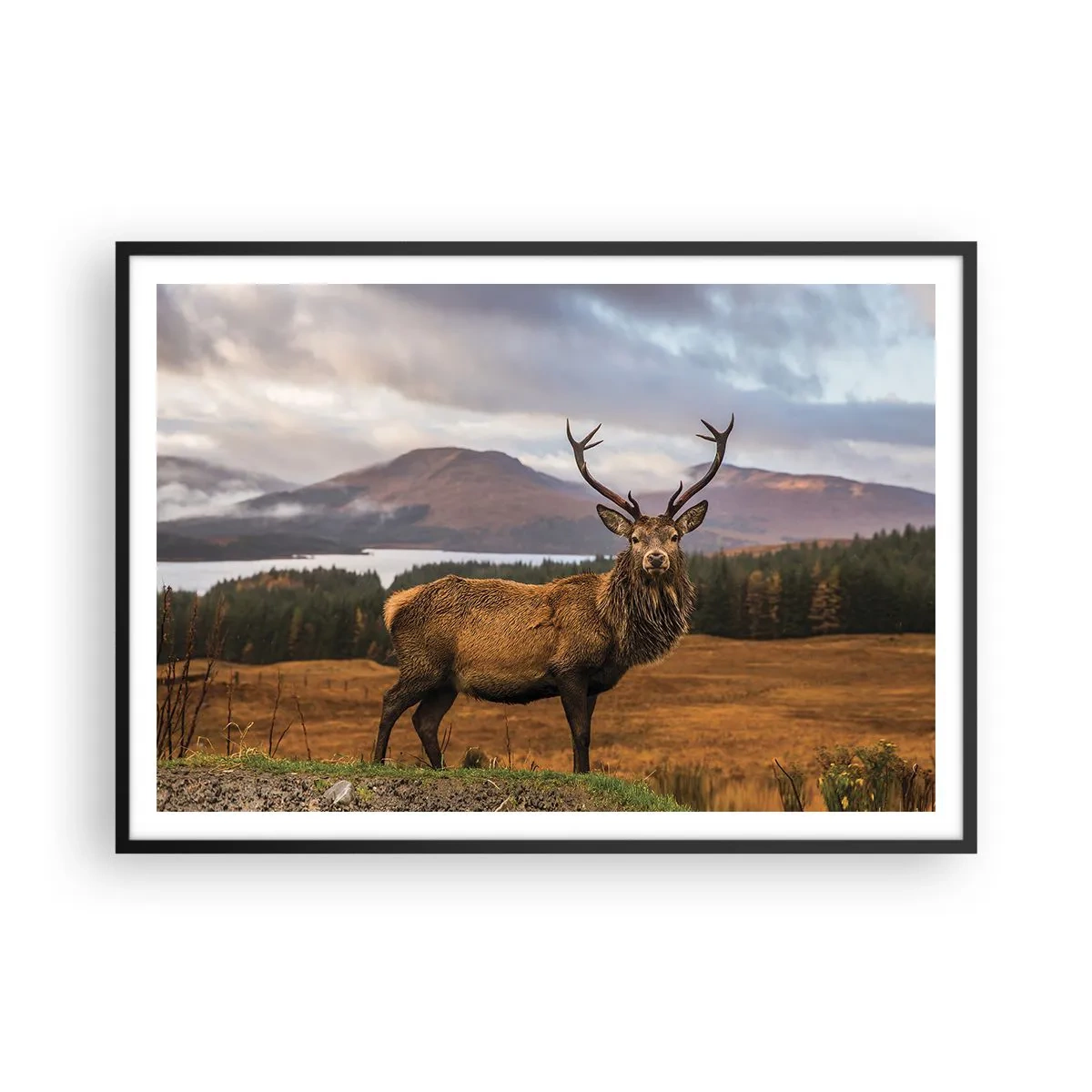 Poster in een zwarte lijst - De majesteit van de natuur - 100x70 cm