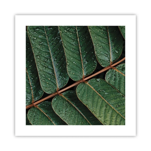 Poster - In een groen ritme - 40x40 cm
