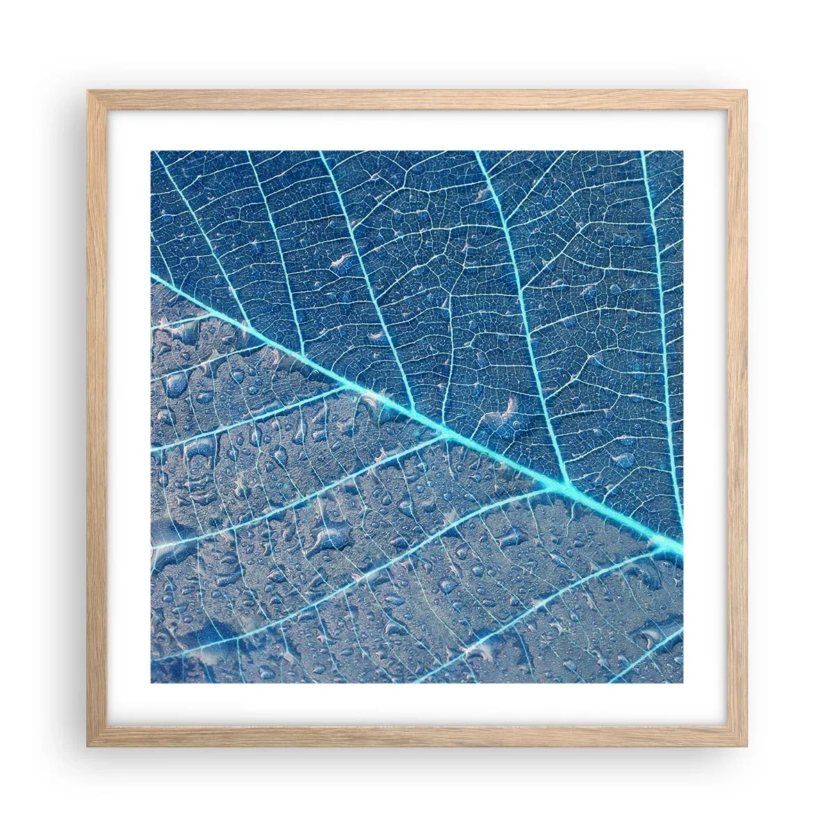 Een poster in een licht eiken lijst - Leven in blauw - 50x50 cm