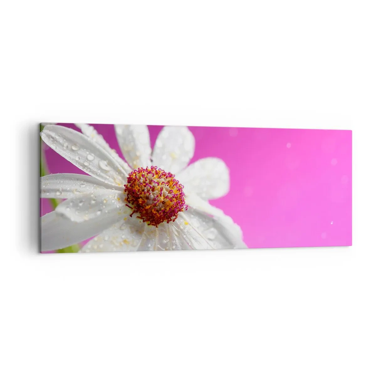 Schilderen op canvas - Bescheiden in zijn schoonheid - 140x50 cm
