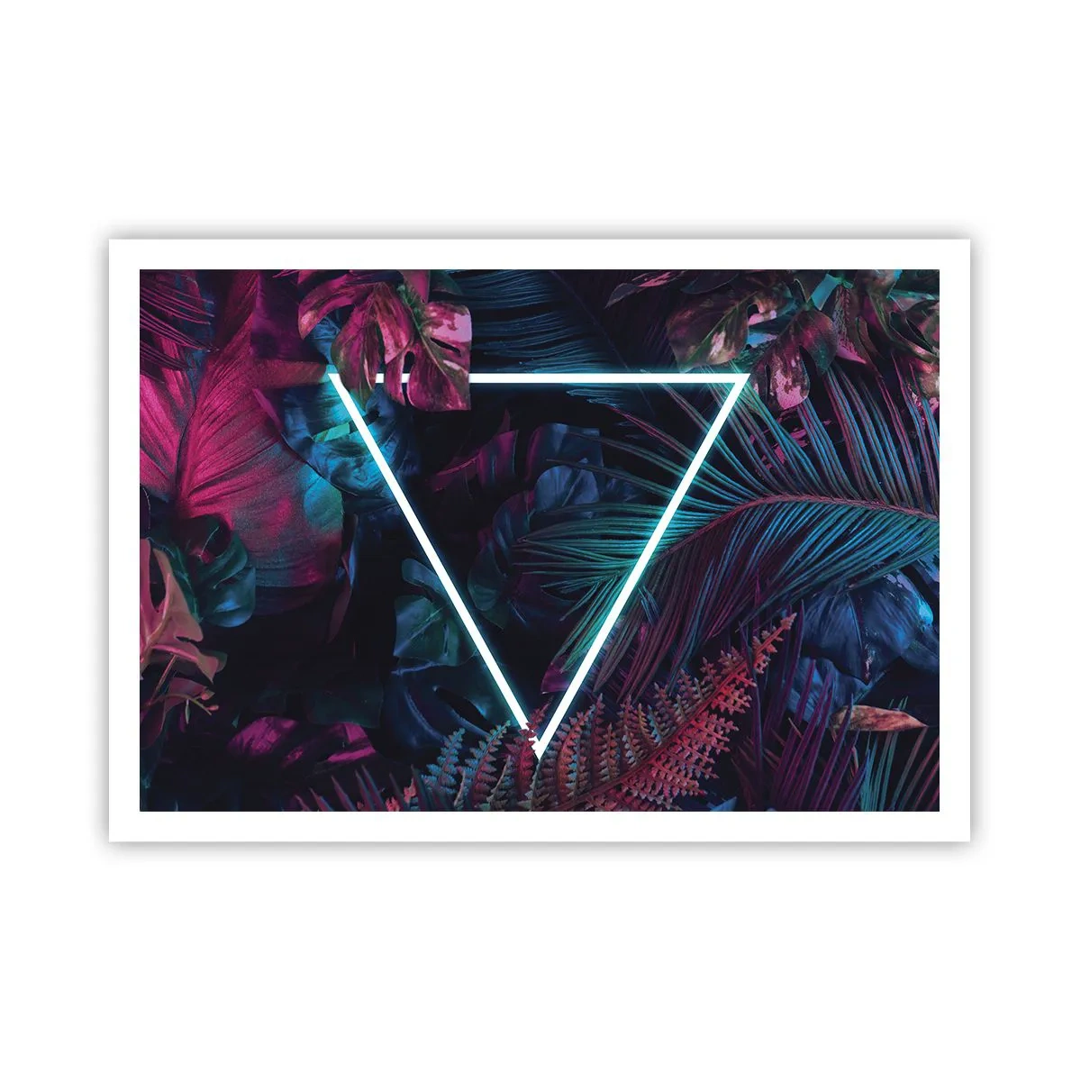 Poster - Disco-achtige tuin - 100x70 cm