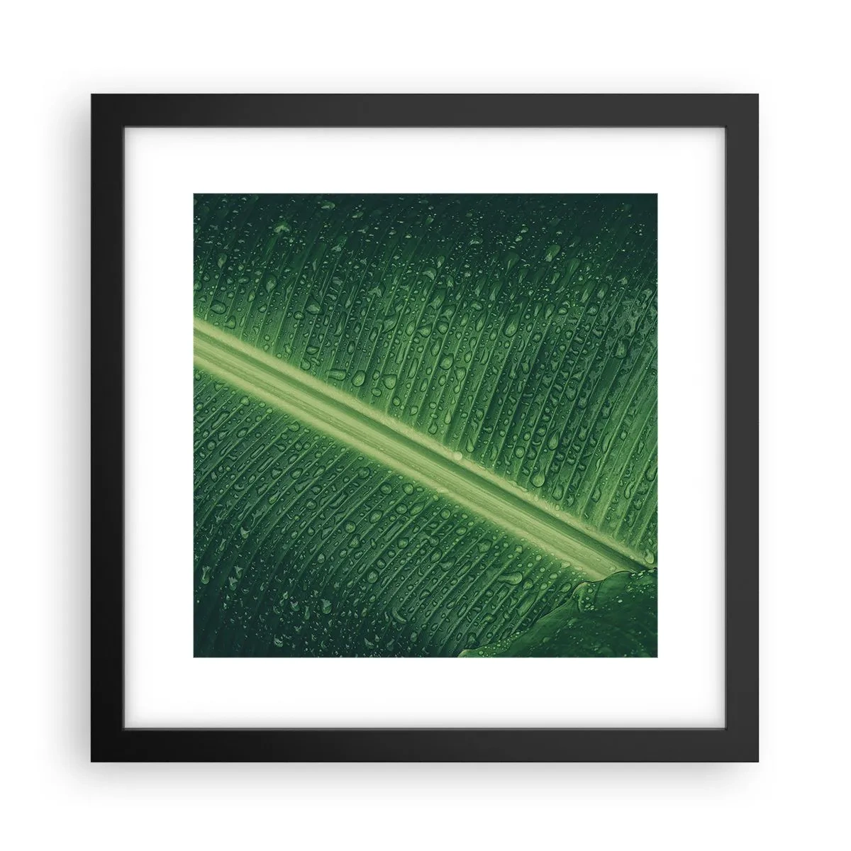 Poster in een zwarte lijst - De structuur van groen - 30x30 cm