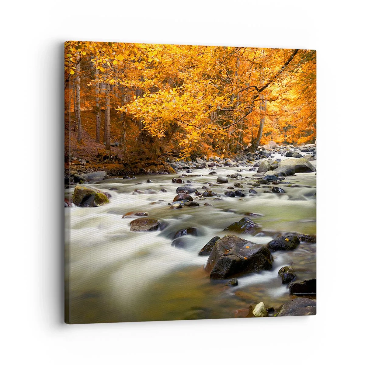 Schilderen op canvas - Een stroom in een gouden bos - 30x30 cm