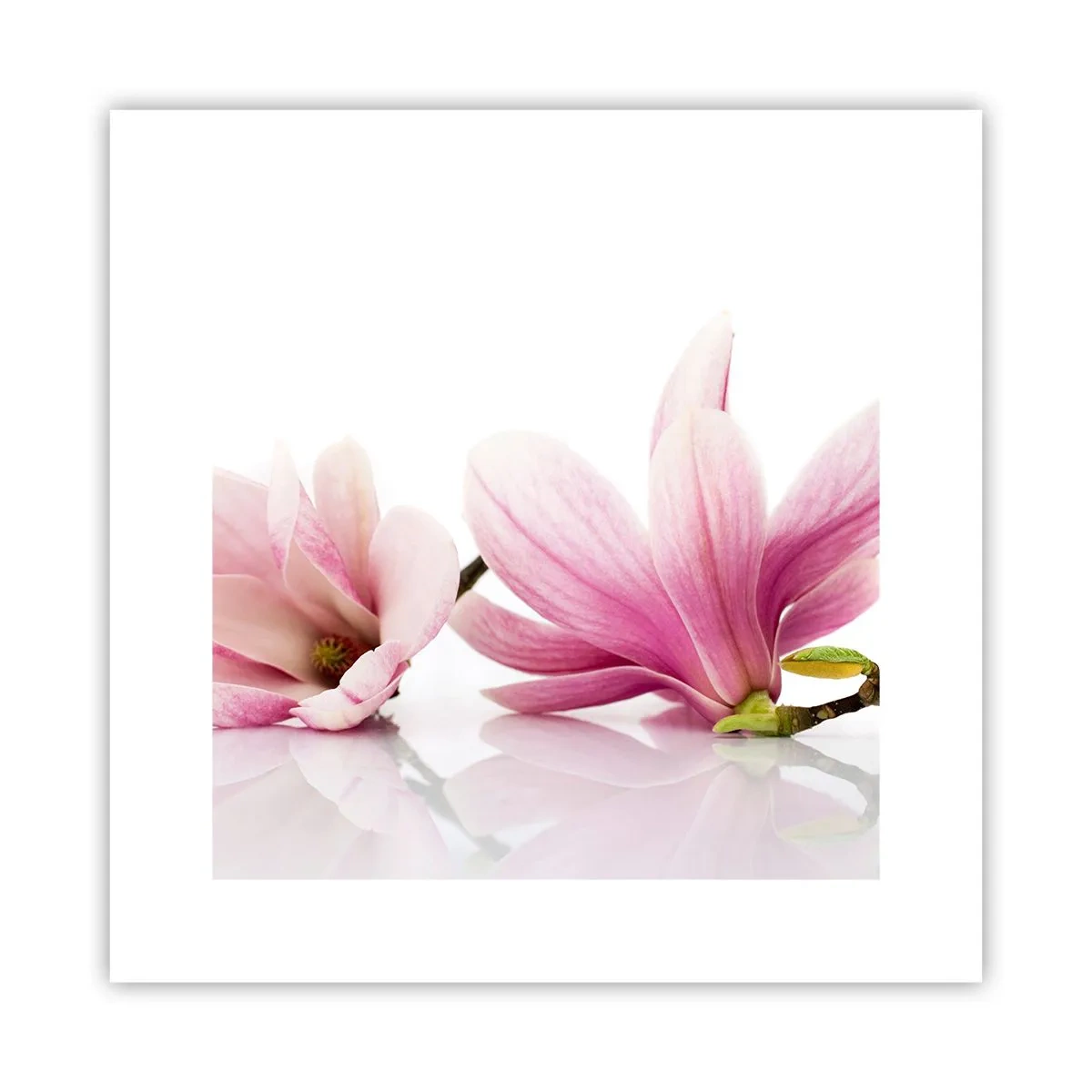 Poster - Delicaat als een lentebriesje - 30x30 cm