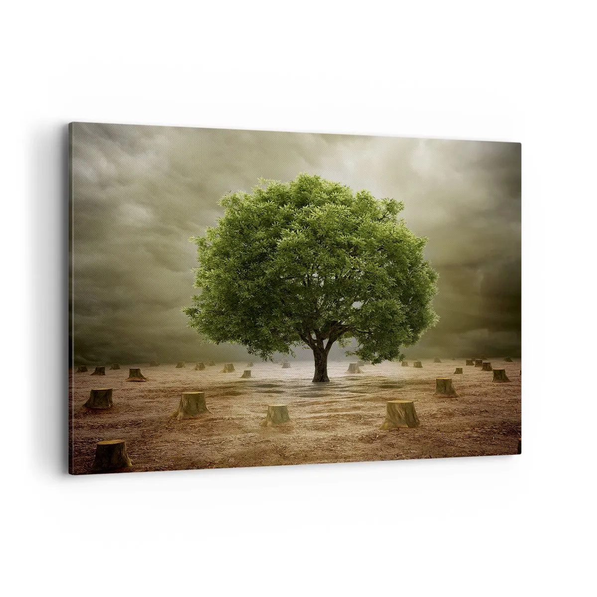 Schilderen op canvas - Alle hoop - 100x70 cm