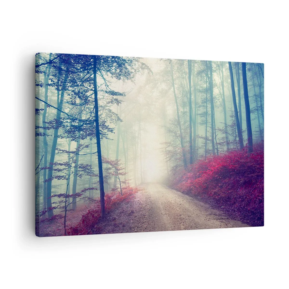 Schilderen op canvas - Een magisch bospad omgeven door bomen en mist - 70x50cm - Hoe goed om op te staan