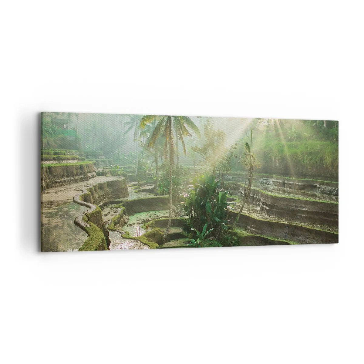 Schilderen op canvas - Opgroeien in de zon - 120x50 cm