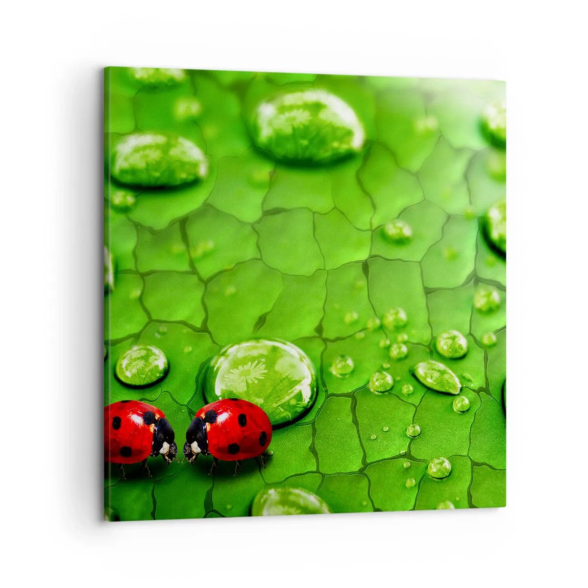 Schilderen op canvas - Ontmoeting in het groen - 50x50 cm
