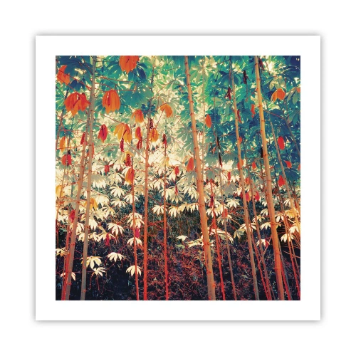 Poster - Het geheime leven van de bladeren - 50x50 cm