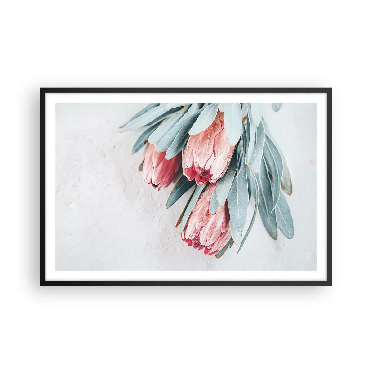 Poster in een zwarte lijst - Schaamt zich voor hun eigen schoonheid - 91x61 cm