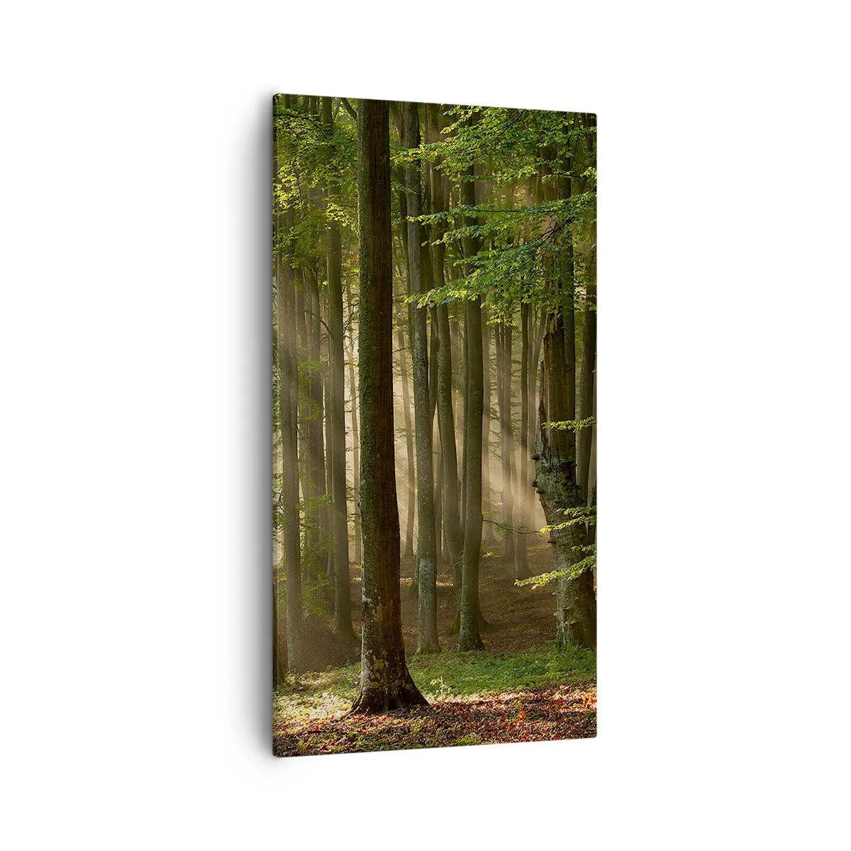 Schilderen op canvas - Stralend op een lentemorgen - 55x100 cm