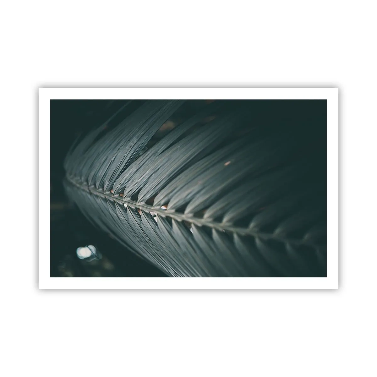 Poster - De precisie van de natuur - 91x61 cm