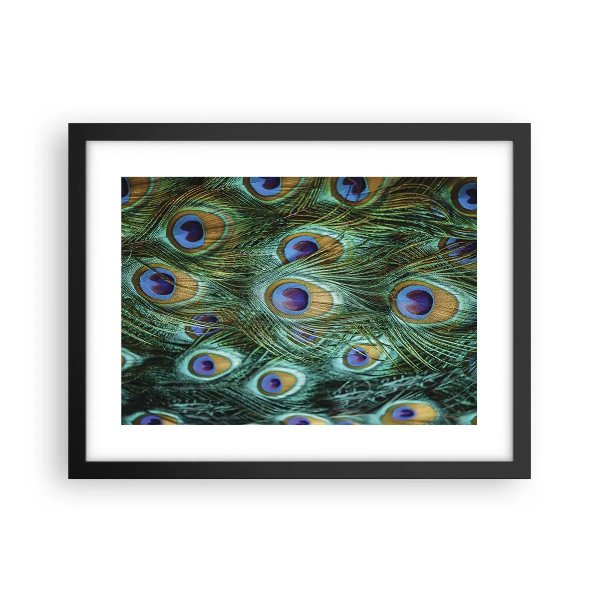 Poster in een zwarte lijst - Een pauwenooglook - 40x30 cm
