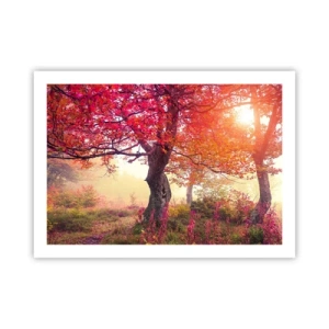 Poster - Bloeiende razernij - 70x50 cm