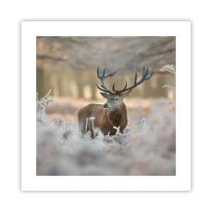 Poster - Een frisse ochtend - 40x40 cm