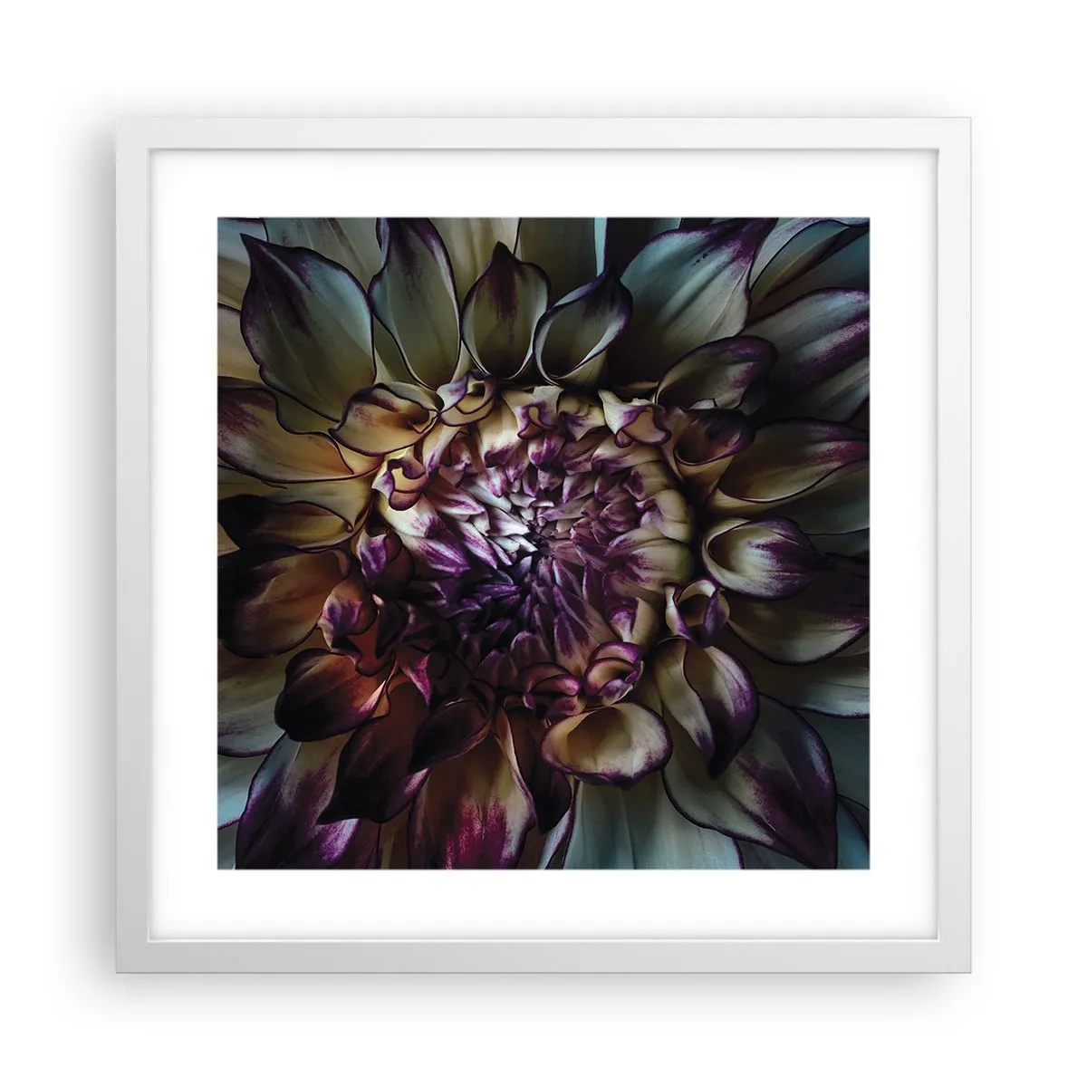 Poster in een witte lijst - De hoogtijdagen van de jeugd - 40x40 cm