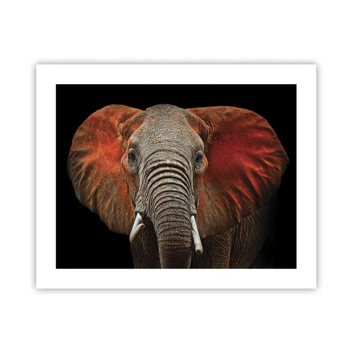 Poster - Ik ben wild, en jij? - 50x40 cm