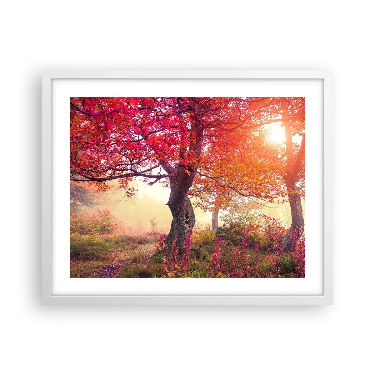 Poster in een witte lijst - Bloeiende razernij - 50x40 cm