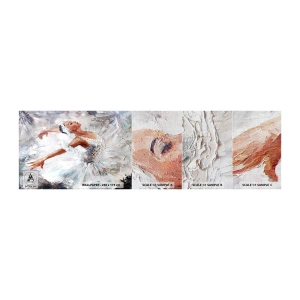Fotobehang Monster Premium Canvas - Delicaat en licht als tule - Ballerina, Dans, Ballet - 100x30 cm
