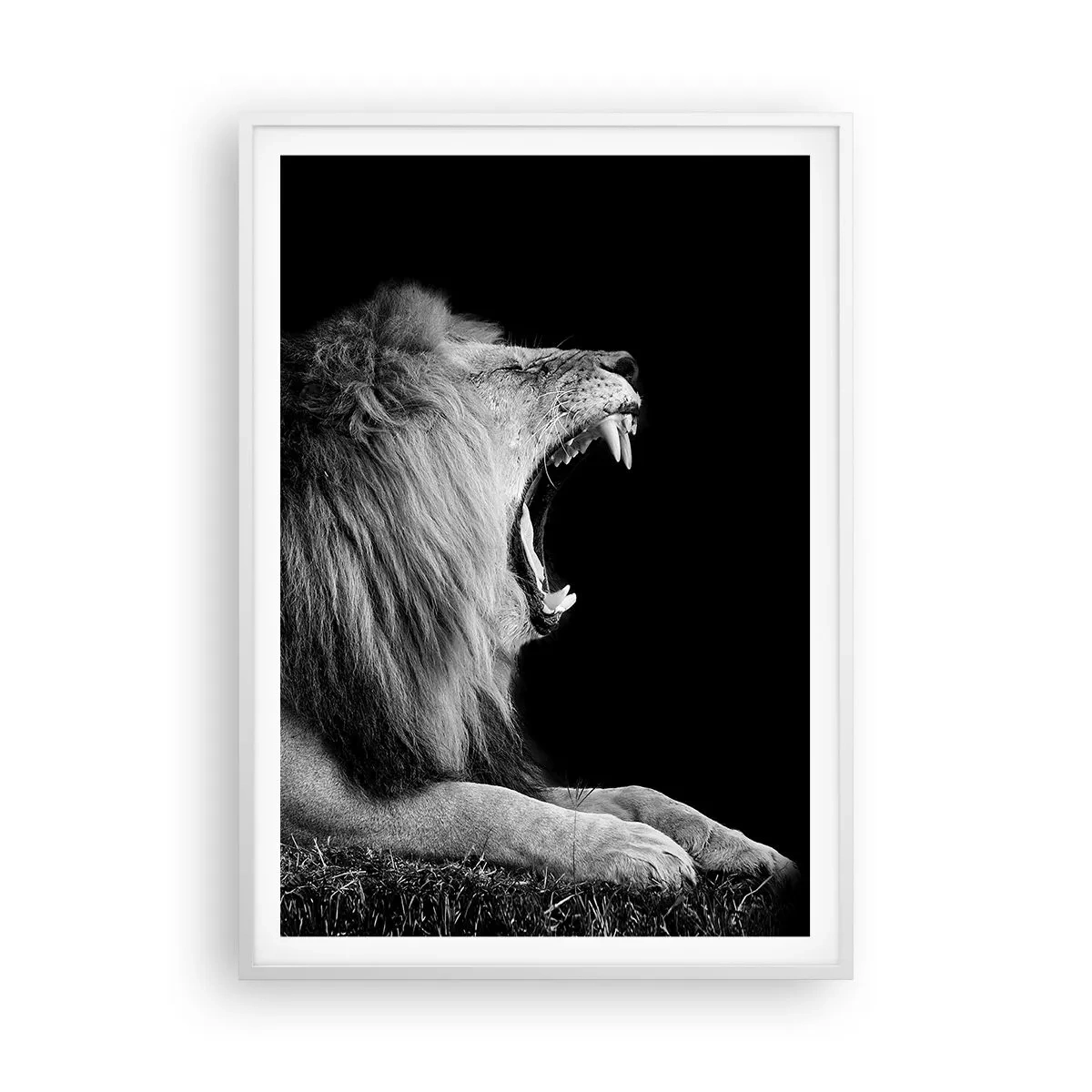 Poster in een witte lijst - Zonder enige twijfel - 70x100 cm