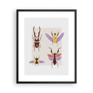 Poster in een zwarte lijst - Insectenwereld - 40x50 cm